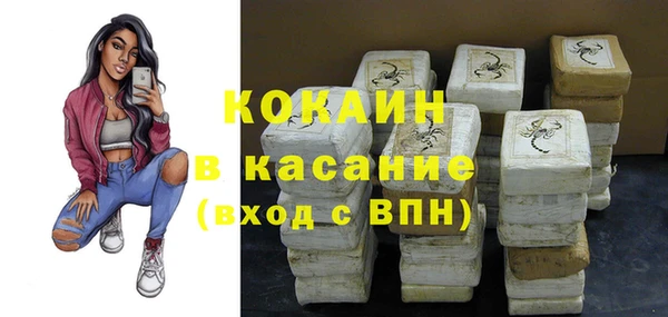 индика Алзамай