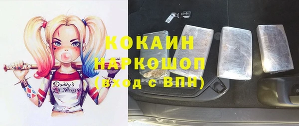 индика Алзамай