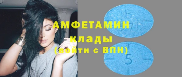 индика Алзамай