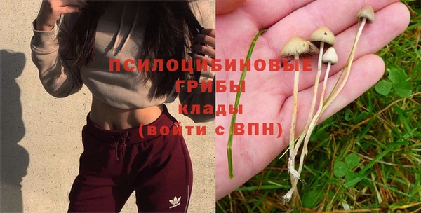 прущий лед Алексин