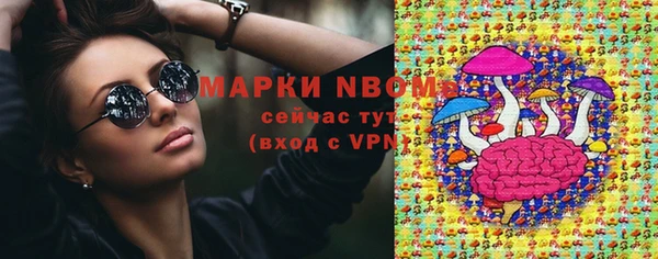 индика Алзамай