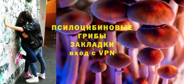 прущий лед Алексин