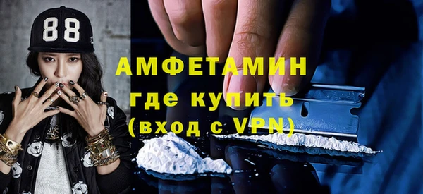 индика Алзамай
